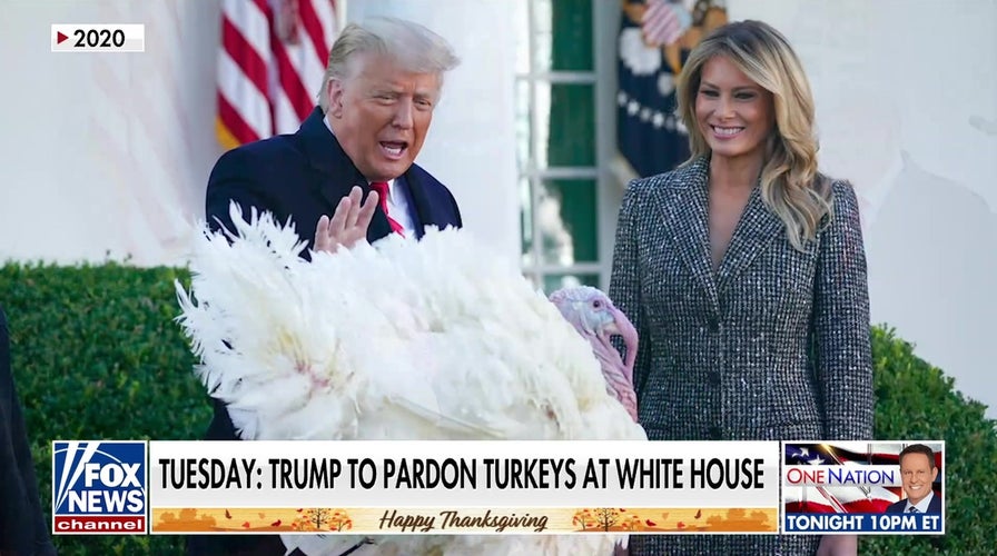'Fox & Friends Weekend' co-hosts pardon Thanksgiving turkeys Cran and Berry