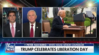 Peter Navarro warns the ‘non-tariff barriers’ facing US successful  planetary  commercialized   are ‘worse’ - Fox News