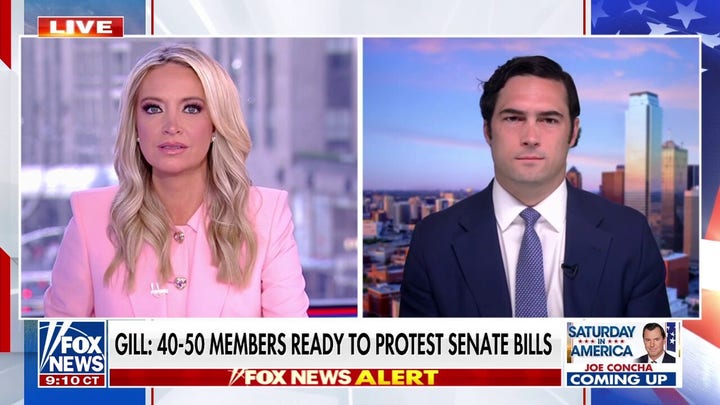 House lawmakers protest Senate bills over SAVE Act