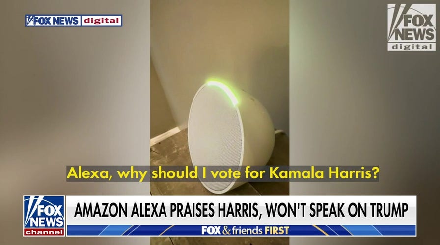 Tomi Lahren slams Amazon's Alexa for praising Harris, refusing to speak on Trump: 'Always an error'