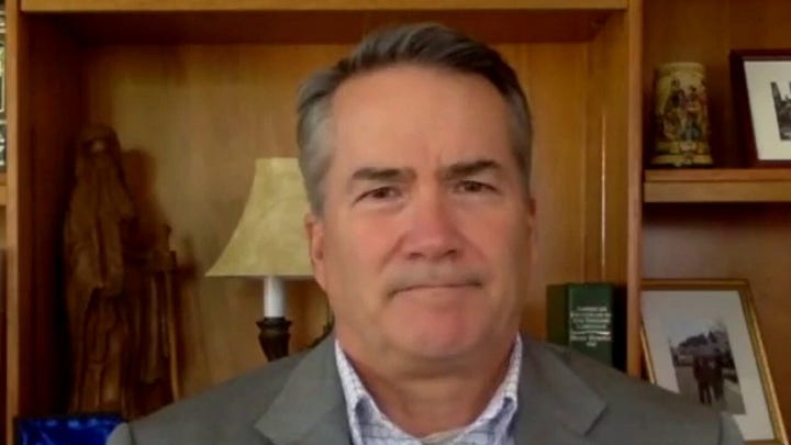 Georgia had ‘irregularities and problems’ during presidential election: Rep. Hice