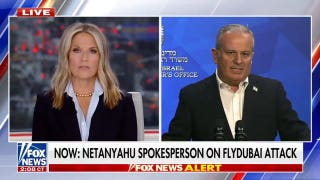 Netanyahu office on FlyDubai attacker: This was a radical Islamist