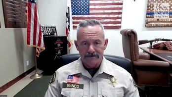 CA sheriff slams 'meritless' UCLA student lawsuit against police who dismantled anti-Israel encampment