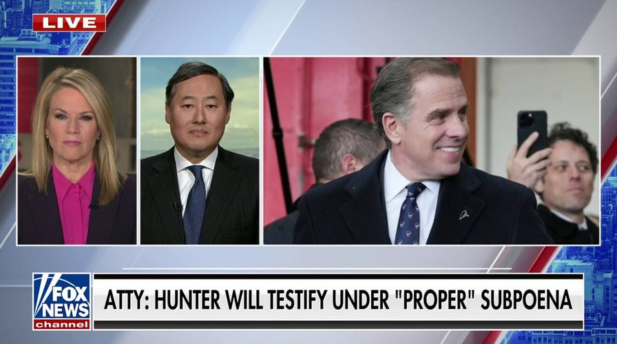 Hunter Biden should be treated like any other American for alleged tax evasion: John Yoo