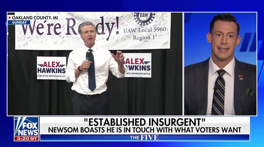 James Carville warns Democrats have a 'stupid idea generator'
