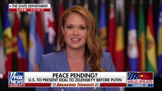 New details emerge in proposed deal to end war in Ukraine - Fox News