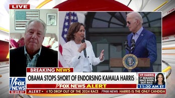 Robert Wolf dismisses concerns after Obama failed to endorse Kamala Harris: 'Nothing burger'