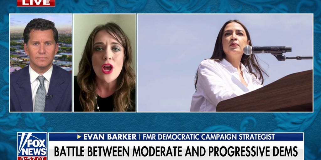 It is 'almost impossible' to find a 'truly moderate' candidate, ex-Dem strategist admits