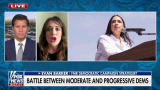 It is 'almost impossible' to find a 'truly moderate' candidate, ex-Dem strategist admits