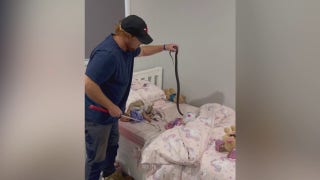 Australian family discovers venomous snake in child’s bed - Fox News