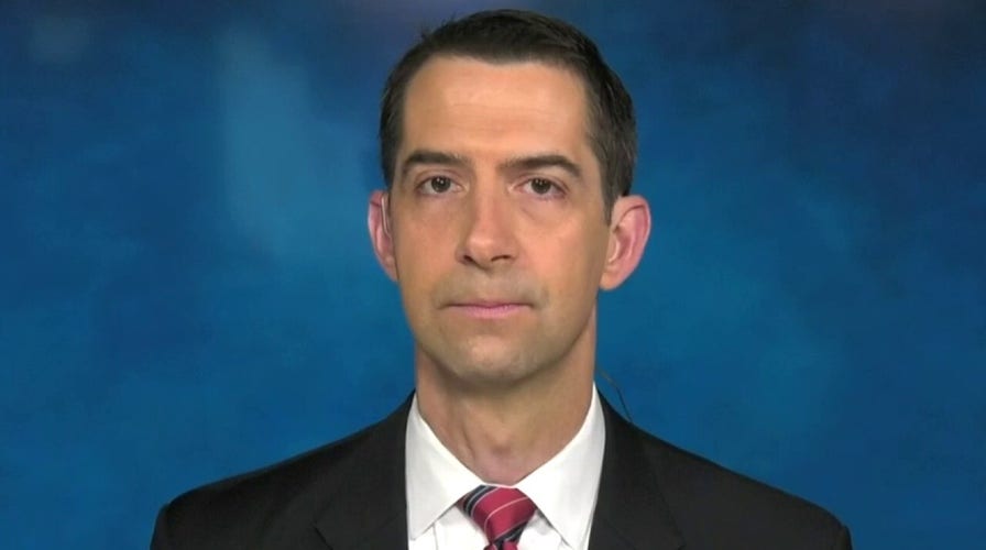 Sen. Cotton: No surprise if China wants Joe Biden to win in November