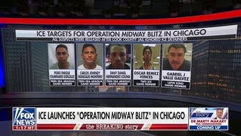 ICE launching new operation called 'Operation Midway Blitz' in Chicago