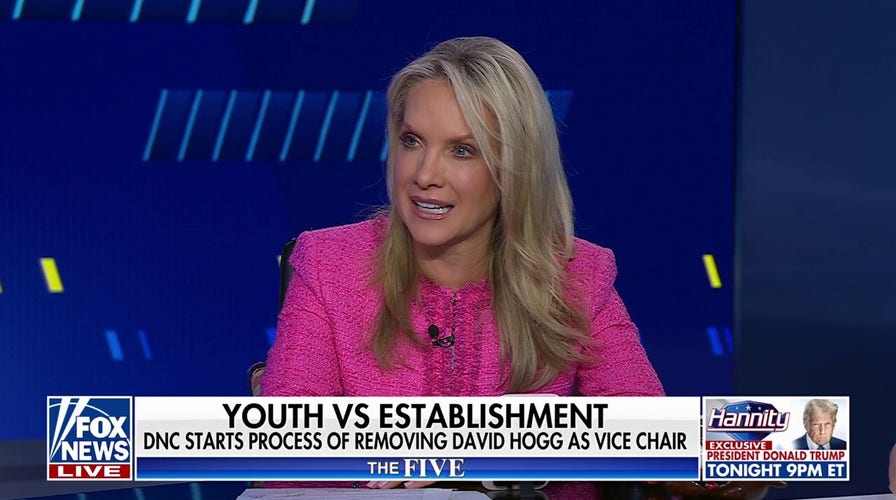 DNC 'dance'? Dana Perino criticizes Dem Party's 'lack of discipline'