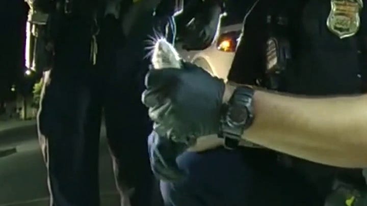 Hamsters found on Ohio man wearing leopard print onesie