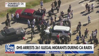 New details revealed about suspects arrested during ICE raid at Cannabis farm
