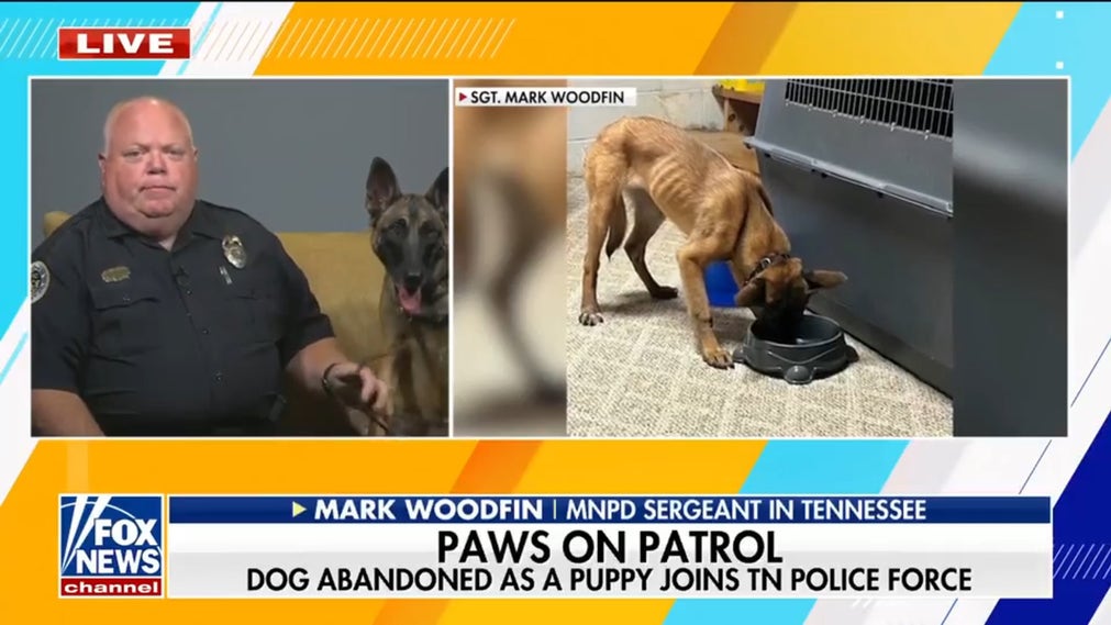 Tennessee sergeant adopts abandoned rescue puppy who becomes certified K-9