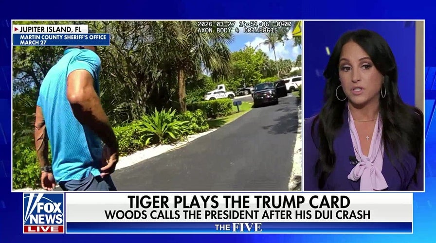  Tiger plays the ‘Trump card’