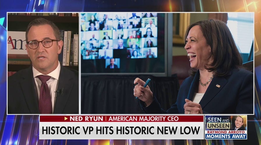 Ned Ryun: Kamala is a bridge too far even for Dems 