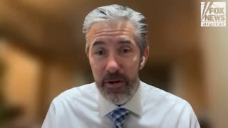 Diabetes alert animals offer protection against dangerous blood sugar dips, expert says