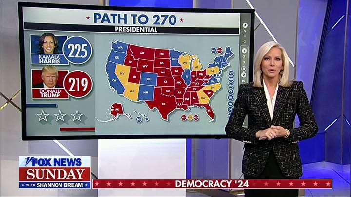 Harris leaning on Blue Wall strategy, Trump leaning on 'Sun Belt' strategy to win 2024 race, expert says 