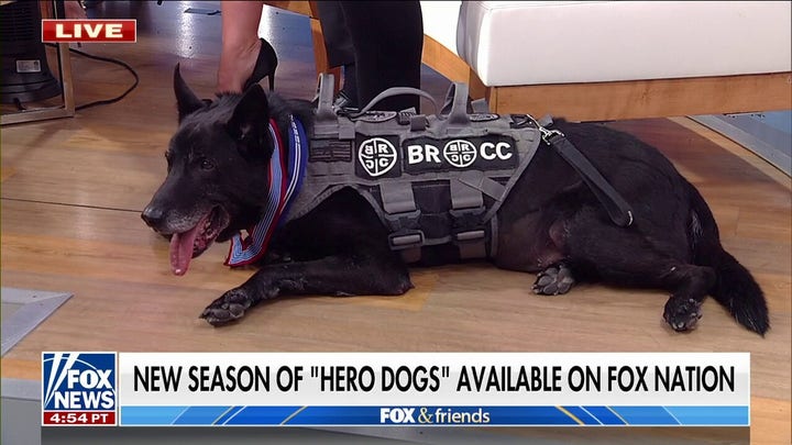 Former Secret Service agent recalls stopping White House intruder with K9 Hurricane