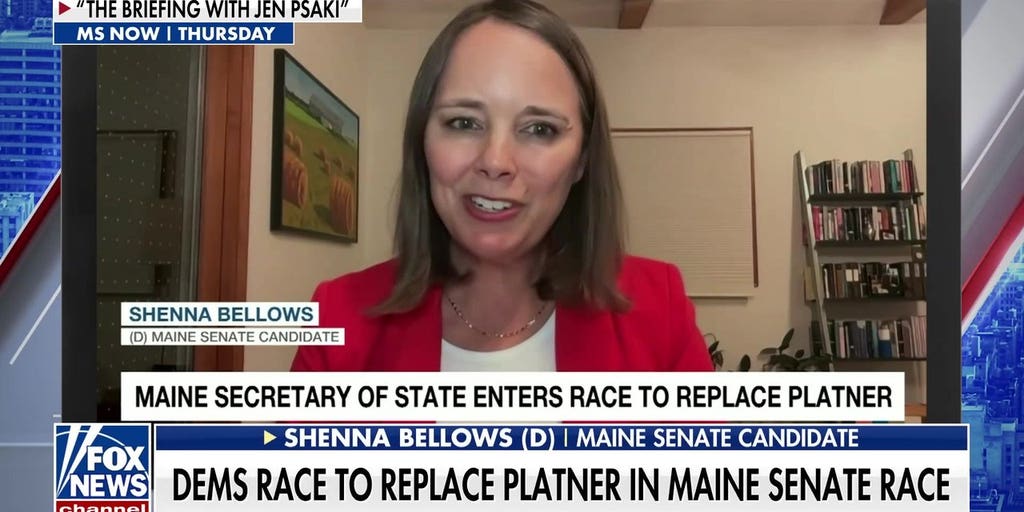Candidates jockey for position in scramble to replace Platner