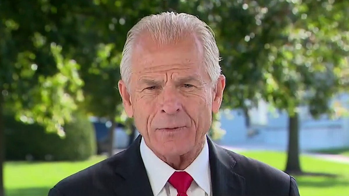 Peter Navarro On What To Expect From The Economy This Fall Fox News I did some digging through wso and i still have some questions. peter navarro on what to expect from
