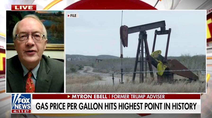 Domestic energy independence is overdue: Former Trump adviser