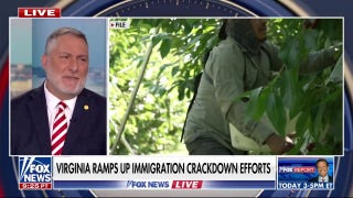Virginia sees spike in illegal migrant arrests amid nationwide ICE activity