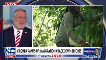 Virginia sees spike in illegal migrant arrests amid nationwide ICE activity