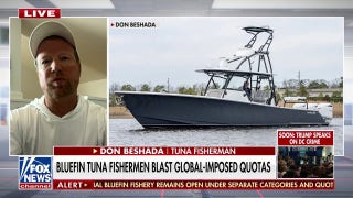 'Global-imposed' tuna quotas under fire from fishermen: We don't understand it