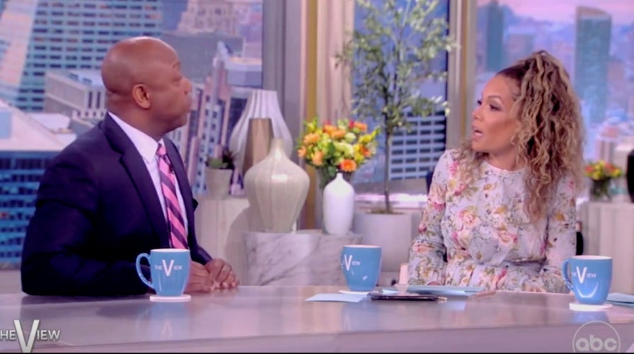 Tim Scott clashes with 'The View' hosts after calling out 'disgusting ...