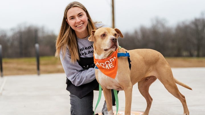 Northwest Arkansas opens first-of-its-kind animal shelter with no cages, kennels
