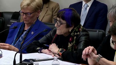 Top appropriations Democrat gets into heated clash with EPA Administrator Lee Zeldin: 'I don't have to listen to this BS'