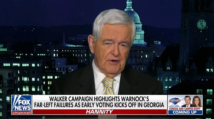 Newt Gingrich on Herschel Walker's chances in key Georgia runoff race