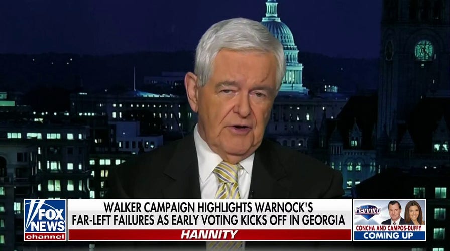 Newt Gingrich on Herschel Walker's chances in key Georgia runoff race