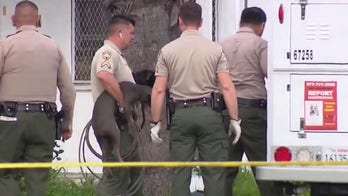 California man attacked by pit bulls in backyard kennel