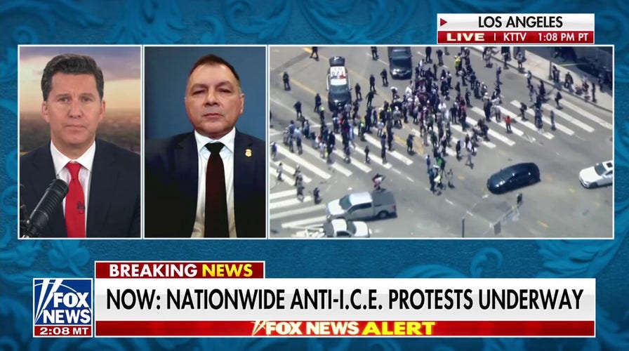 We're enforcing federal immigration laws, says ICE official