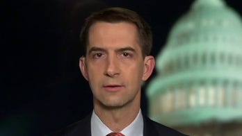 Cotton: Wall Street CEOs are effectively 'lobbyists for communist China'