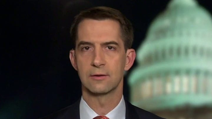 Cotton: US businesses 'effectively lobbyists for communist China'