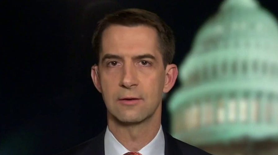 Cotton: US businesses 'effectively lobbyists for communist China'