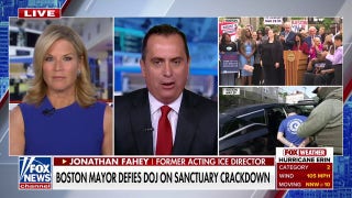 Sanctuary cities don't get to 'operate in a vacuum,' former ICE official argues