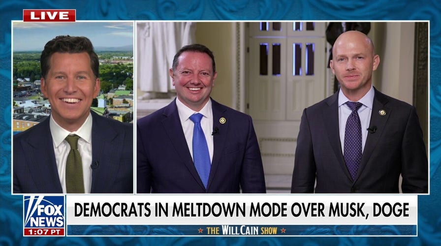 Democrats ripped for trying to ‘throw shade’ at Elon Musk during DOGE subcommittee hearing