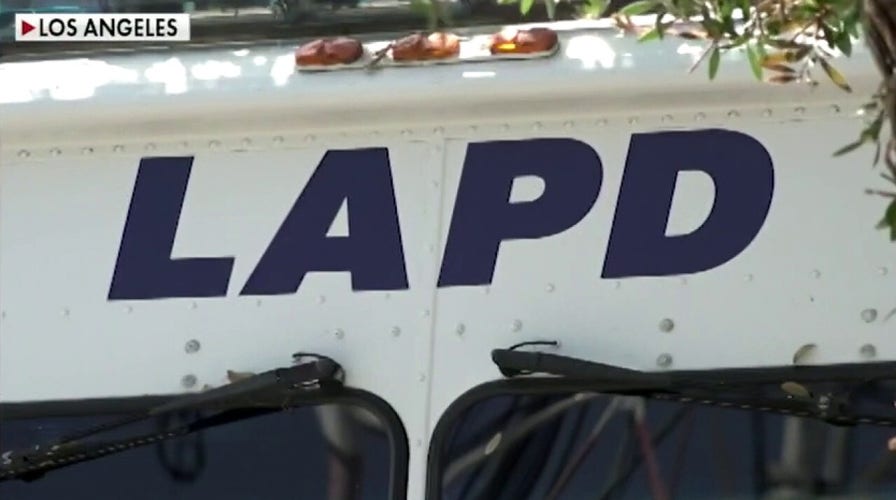Los Angeles officials move to strip up to $496 million more from police	