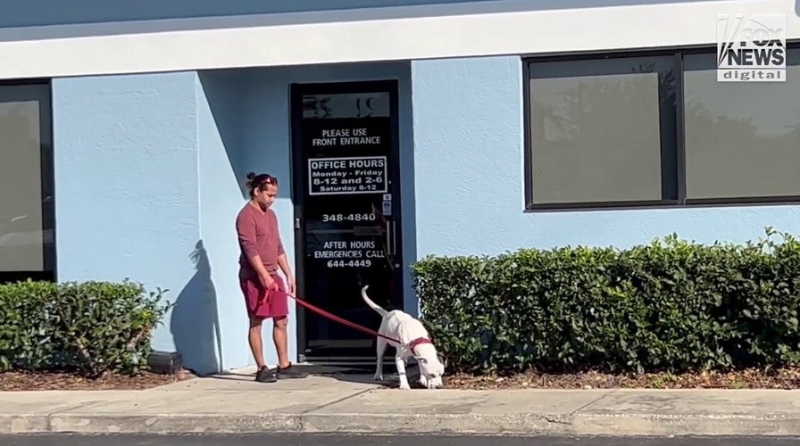 Mario Fernandez evades questions