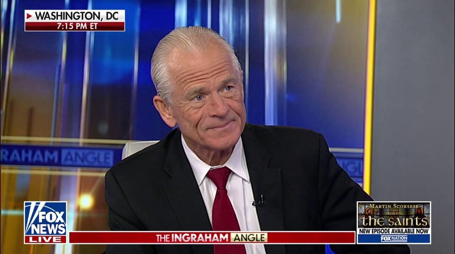 Peter Navarro to investors: Don't panic