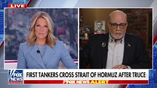 Mark Levin: 'These are terrorists, these are suicide bombers'