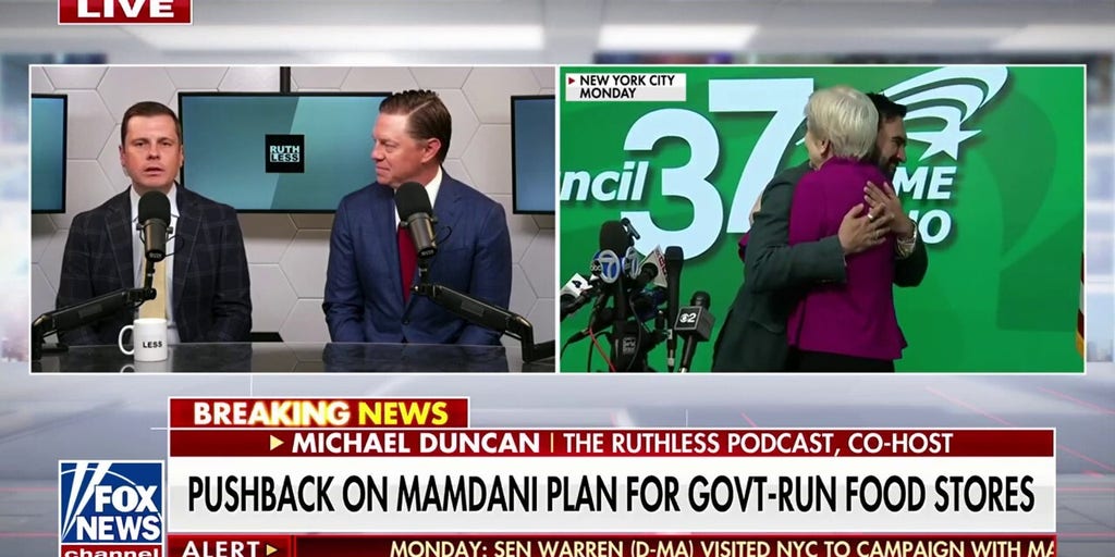 Democrats facing backlash as Warren endorses Mamdani in NYC mayoral race