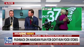 Democrats facing backlash as Warren endorses Mamdani in NYC mayoral race