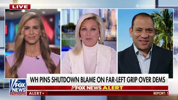 Ex-DNC official says both parties are responsible for the shutdown